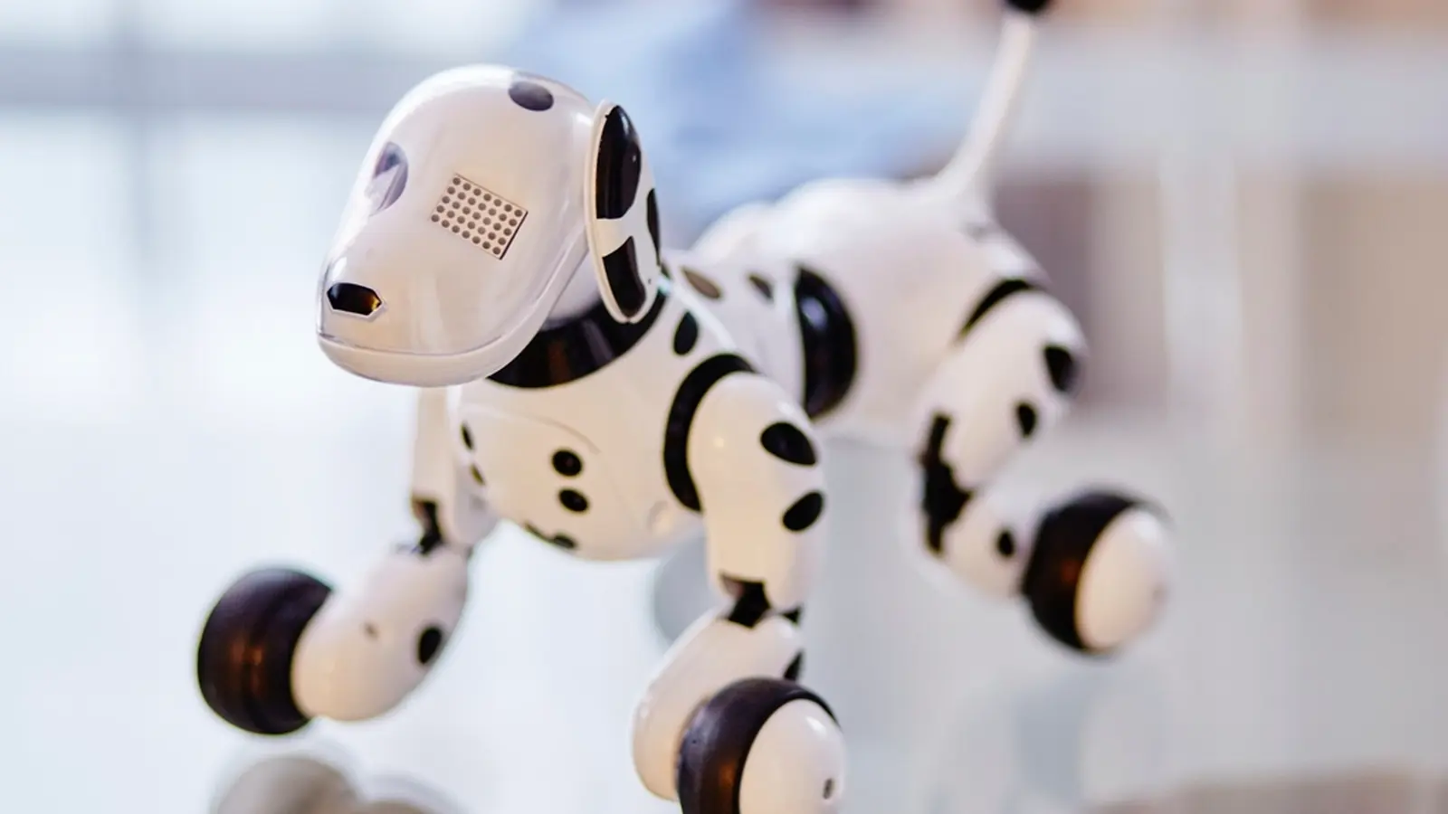 Successful AI Deployment Integrates Technology and People